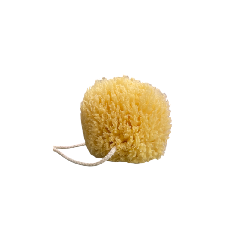 Éponge naturelle pour la vaisselle 10x9 cm SPONGEAN