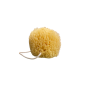 Éponge naturelle pour la vaisselle 10x9 cm SPONGEAN
