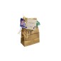 Sac papier en kraft de taille GAMMA 21x12x7 cm