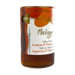 Miel de Vallée fleur d’oranger et citronnier MELIGYRIS 270 g