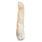 Luffa - éponge végétale naturelle SPONGEAN 65 à 70 cm Luffa - éponge végétale naturelle SPONGEAN 65 à 70 cm